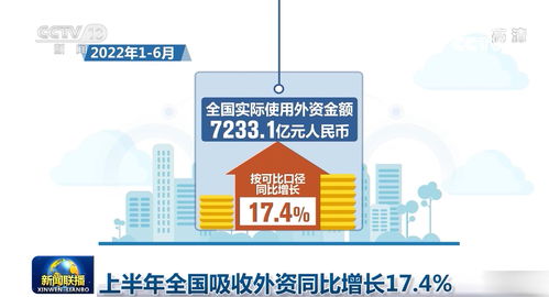 上半年全國吸收外資同比增長17.4%，信息技術咨詢服務成亮點