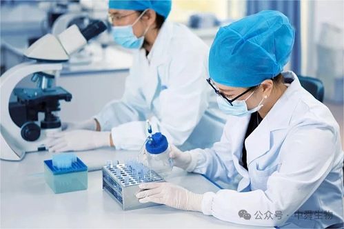 中舜生物 一站式大健康食品OEM，信息技術咨詢服務賦能品牌快速成長