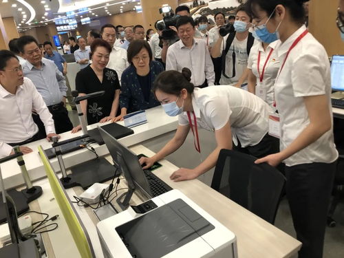 深國圖智能圖像采集處理技術助力湖南省政務服務信息技術咨詢服務